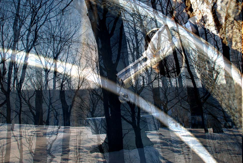 Illustration for article titled Shooting Challenge: Double Exposure, Gallery 2